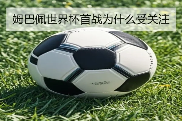 img_1781353643959_319_1_260.jpg