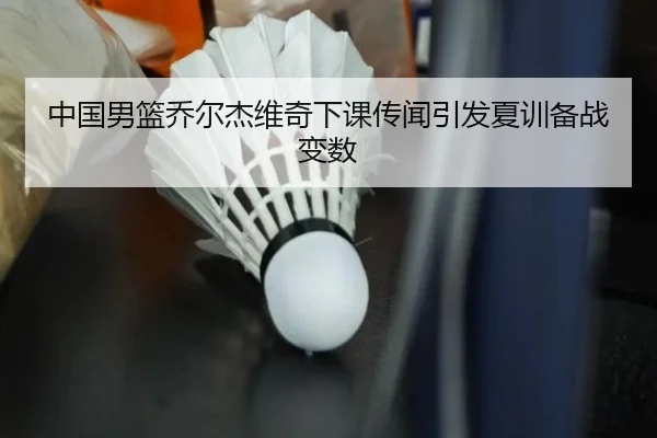 中国男篮乔尔杰维奇下课传闻引发夏训备战变数